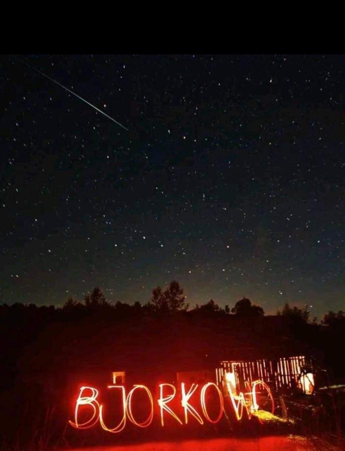 Вилла Bjorkowo Поляньчик Экстерьер фото